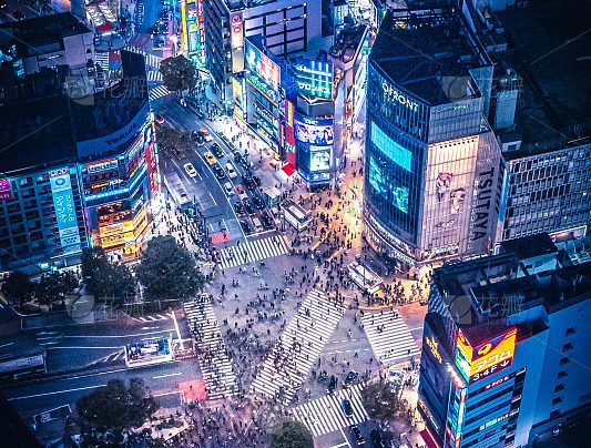 【都市】丛林巅峰|丛林狼|4168388字-凤翼天翔剧社