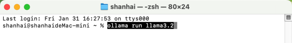 图片[4]-无需网络！三分钟让你的Mac拥有ChatGPT功能！！保姆级详细教程-凤翼天翔剧社