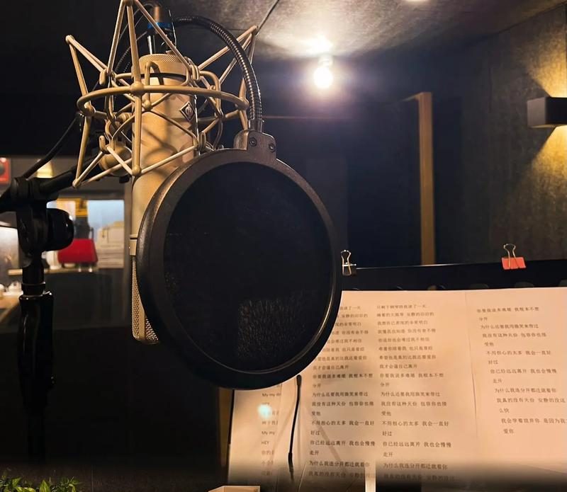 凤翼天翔剧社 - 有声小说版权|有声小说制作与教学|优质资源分享